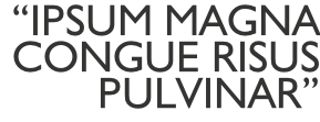 “ipsum magna  congue risus  pulvinar”